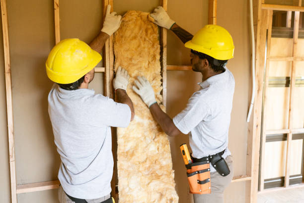 Best Crawl Space Insulation  in Middletown, VA